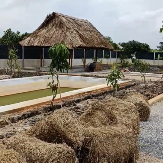 Đất bán củ chi 