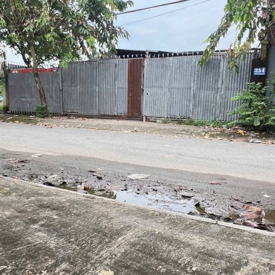 Đất hóc môn bán nè 