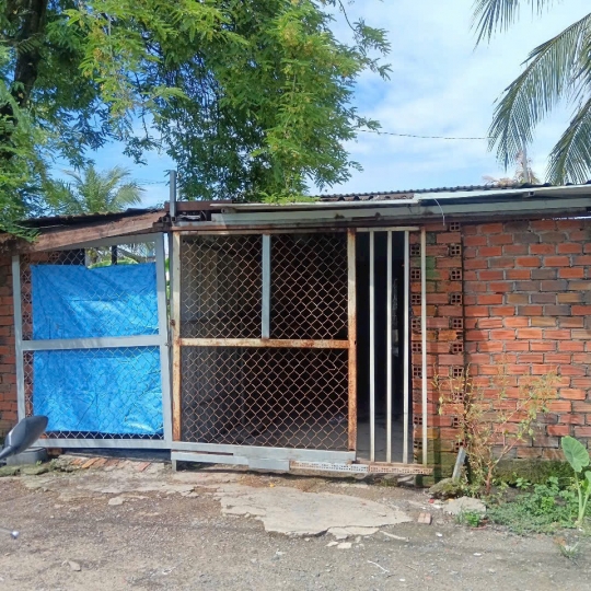 Bán 2 căn nhà cấp 4 tại TP.HCM