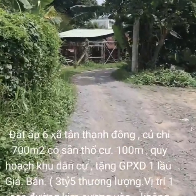 Bán Đất Tân Thạnh  Đông Củ Chi 