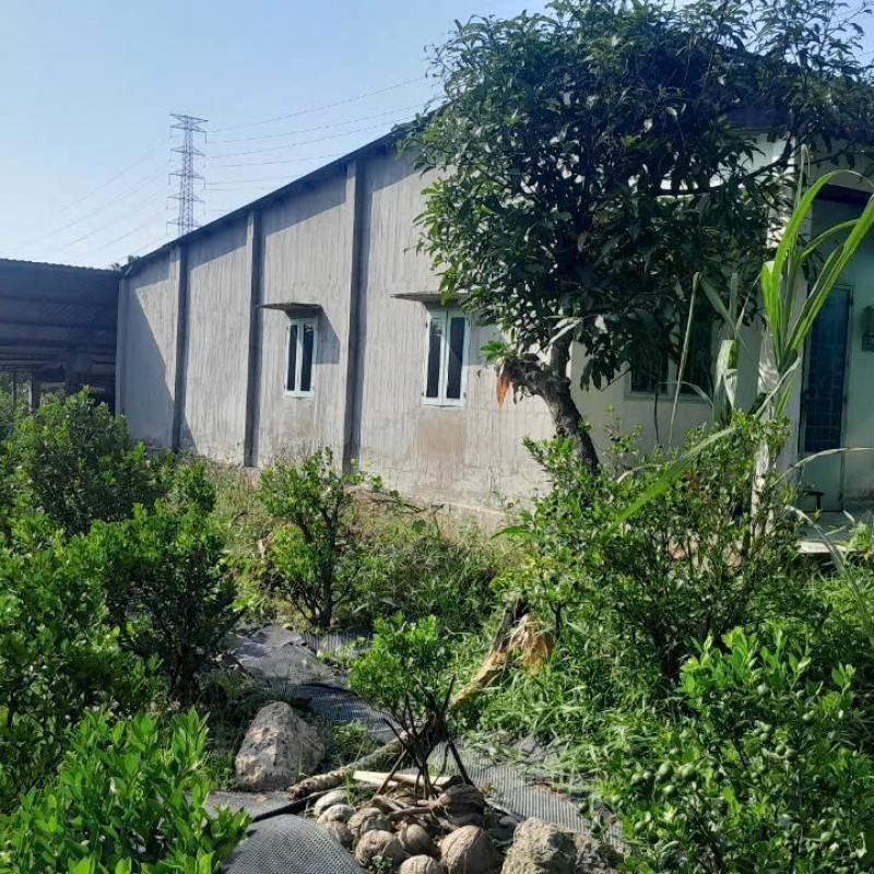 BÁN NHÀ VƯỜN BìNH MỸ 