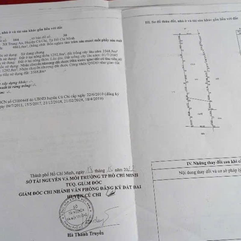 Đất lớn có tiềm năng củ chi 