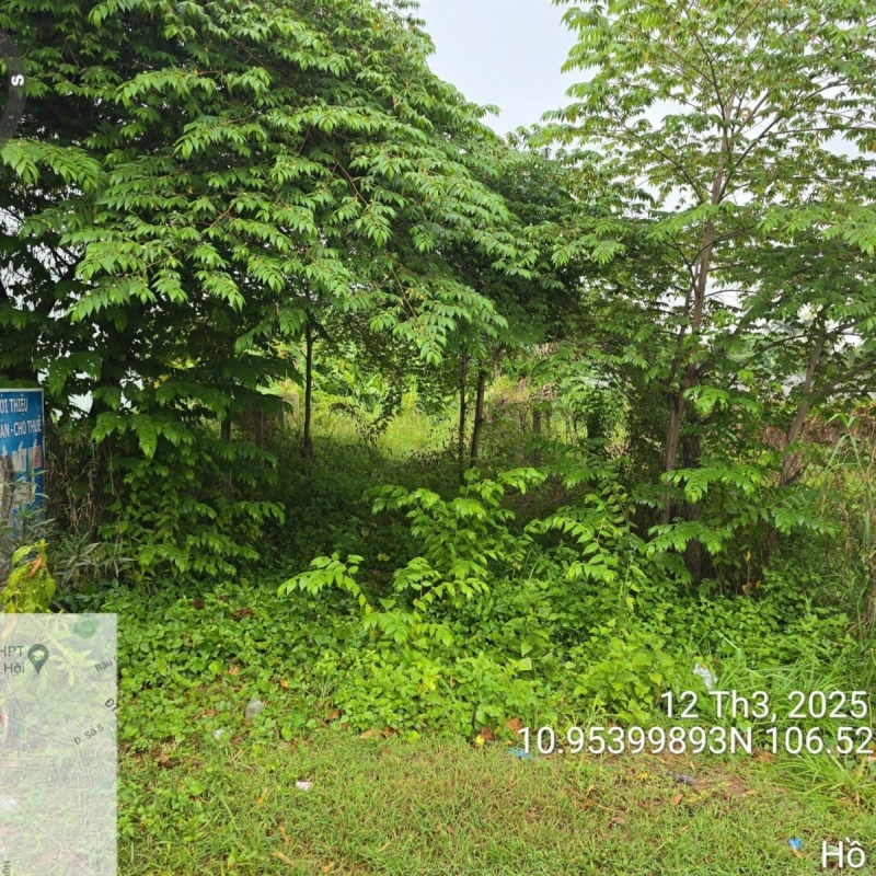 Bán đất tại Củ Chi