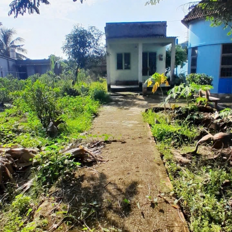 BÁN NHÀ VƯỜN BìNH MỸ 