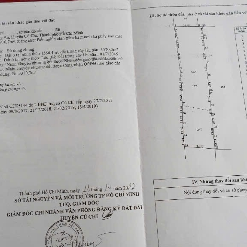 Đất lớn có tiềm năng củ chi 