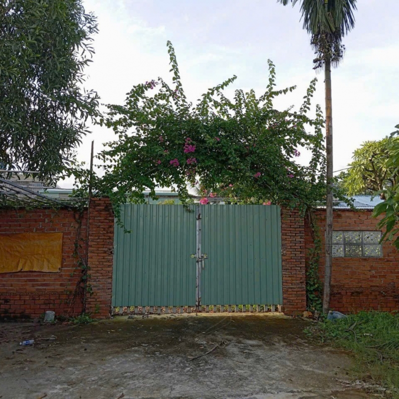 Bán nhà vườn 1000m2 đường Bình Mỹ