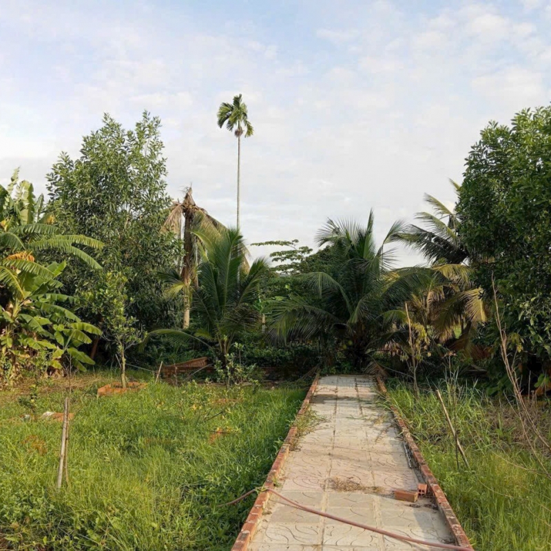 Bán nhà vườn 1000m2 đường Bình Mỹ