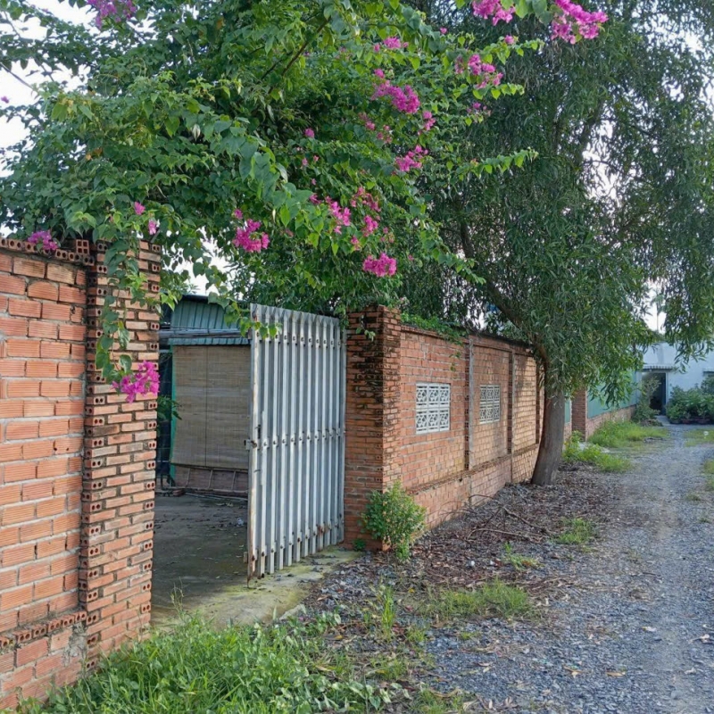 Bán nhà vườn 1000m2 đường Bình Mỹ